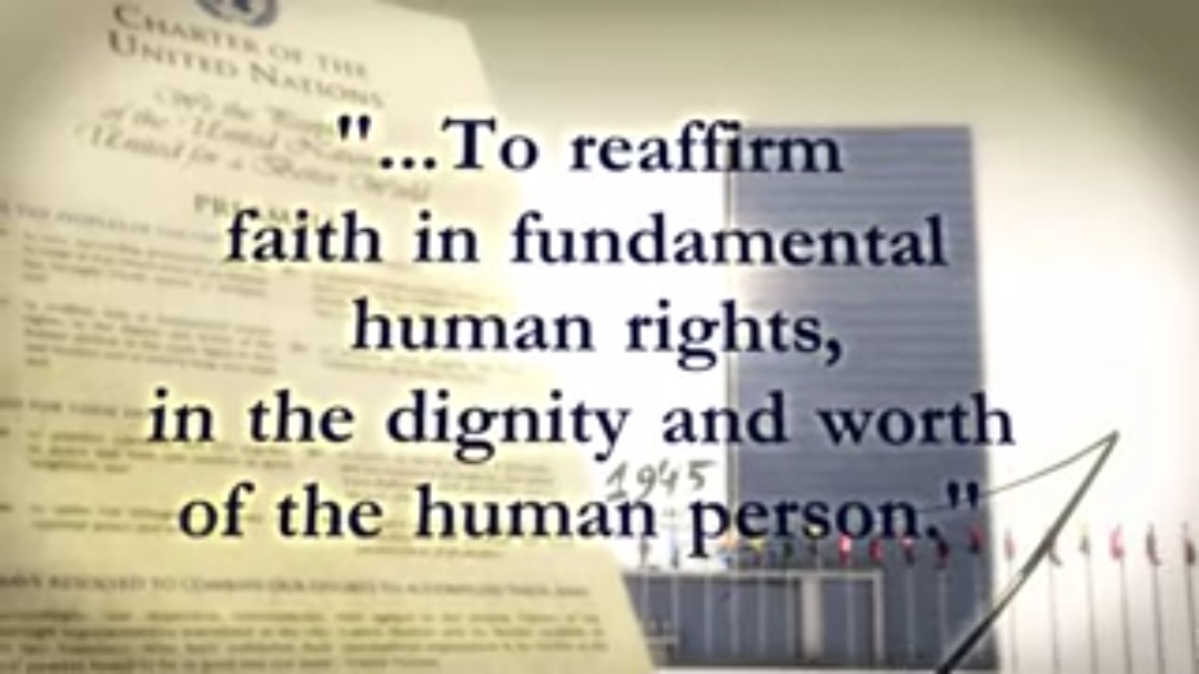 YOUTH FOR HUMAN RIGHTS,  “THE STORY OF HUMAN RIGHTS”,  DOCUMENTARY   [1  VIDEO]