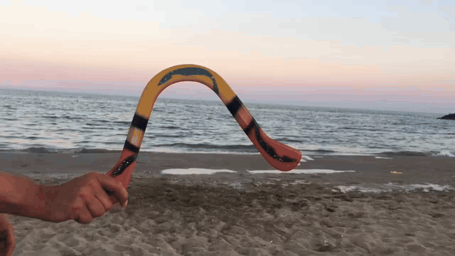 UN PREGIUDIZIO BOOMERANG   [Bozzetto  27]