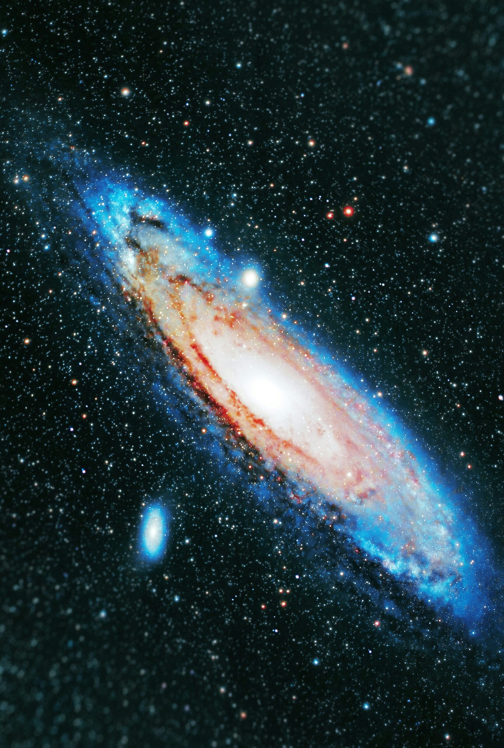L’UNIVERSO, IL DESTINATARIO ASSOLUTO DI OGNI AUTRICE E AUTORE   [OPERA  “L’ AVVELENATA”,  DI  FRANCESCO GUCCINI;  CITAZIONE DI  CLAUDIO ALICANDRI]