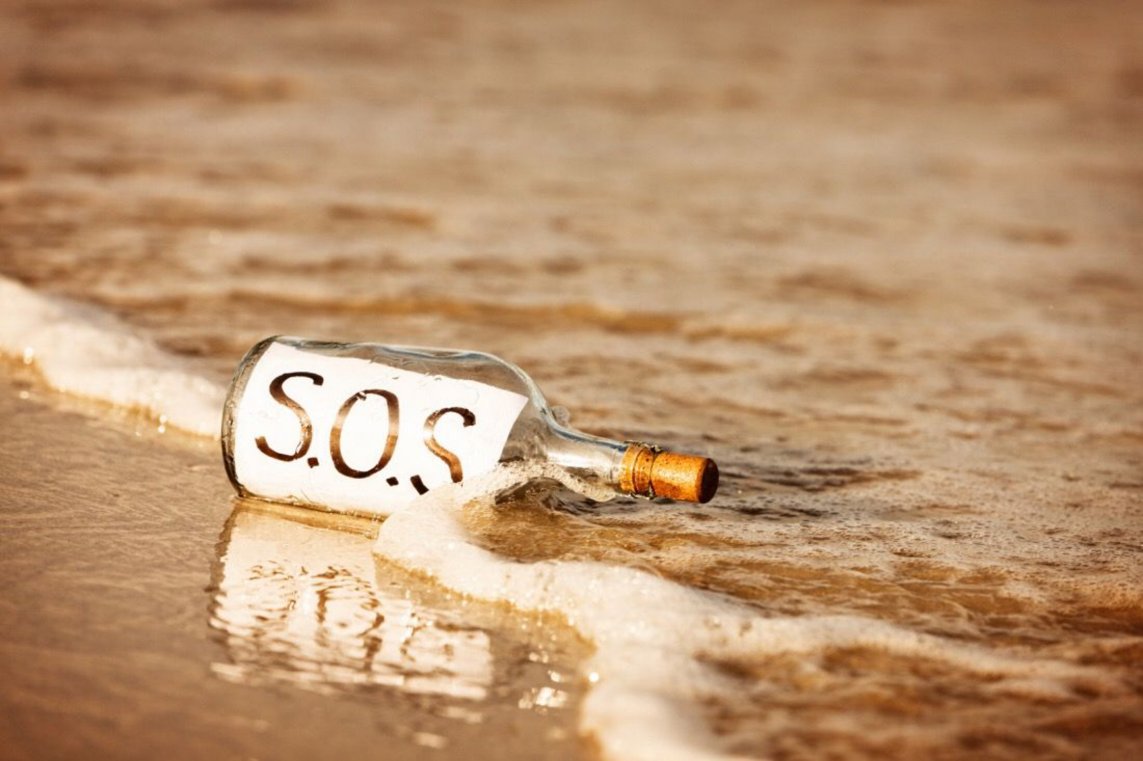 “SOS” DI PROFUGHI   [TERZINE DANTESCHE / 40  (“NETTUNO” / 13]