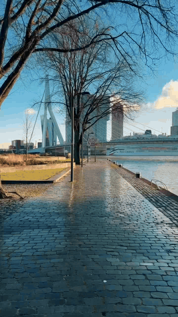 NUOVE VISUALIZZAZIONI DAI  PAESI BASSI  (OLANDA MERIDIONALE, ROTTERDAM)