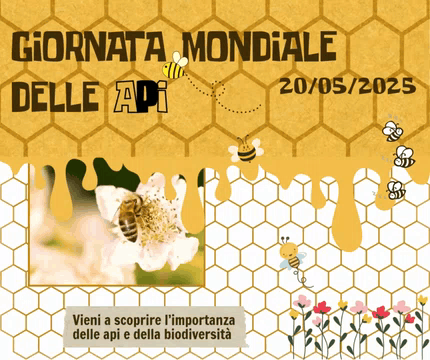 20 MAGGIO 2025, GIORNATA MONDIALE DELLE API. “ODA A LA ABEJA”, DI PABLO NERUDA 20 MAGGIO 2025, GIORNATA MONDIALE DELLE API. “ODA A LA ABEJA”, DI PABLO NERUDA