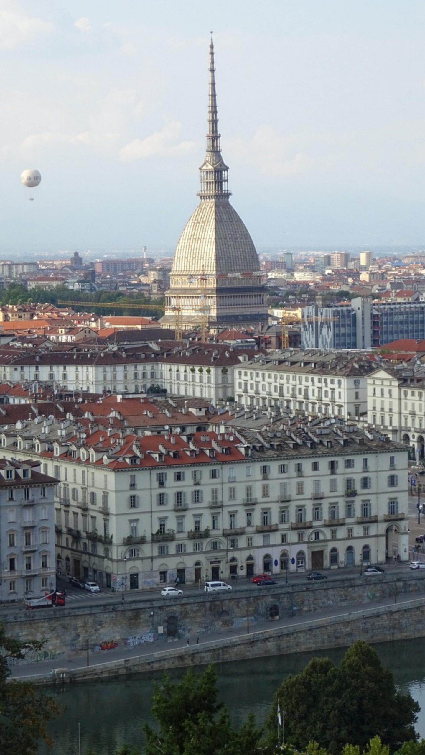 La gentilezza: un velo di magia che cambia destini e crea vere e proprie meraviglie! (Articolo di Andrea Carovigno, da Torino) La gentilezza: un velo di magia che cambia destini e crea vere e proprie meraviglie! (Articolo di Andrea Carovigno, da Torino)
