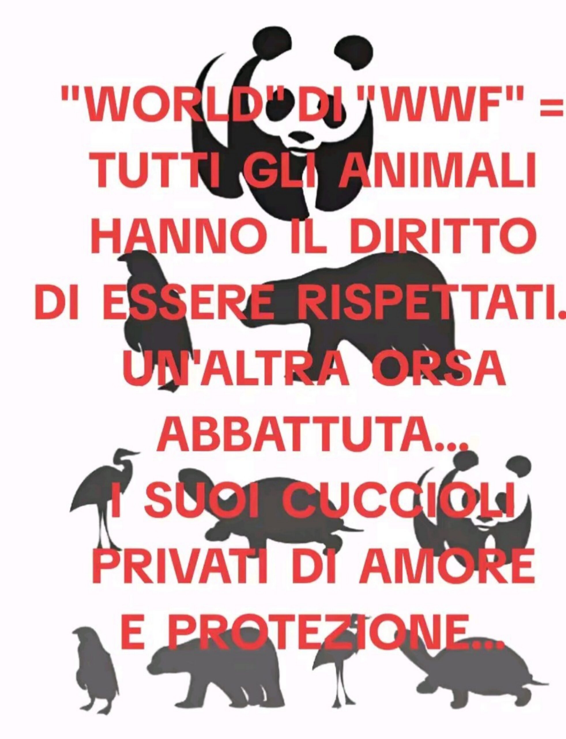 UNO DEI TANTI SIGNIFICATI E VALORI DI  “WORLD” DI “WWF”:  TUTTI  -RIPETO: TUTTI-  GLI ANIMALI VANNO RISPETTATI.  J’ACCUSE CONTRO LA BARBARIE E CONTRO UN’ASSURDA DISUGUAGLIANZA   [I RUGGITI DI LEO TIGRE / RUGGITO  12]