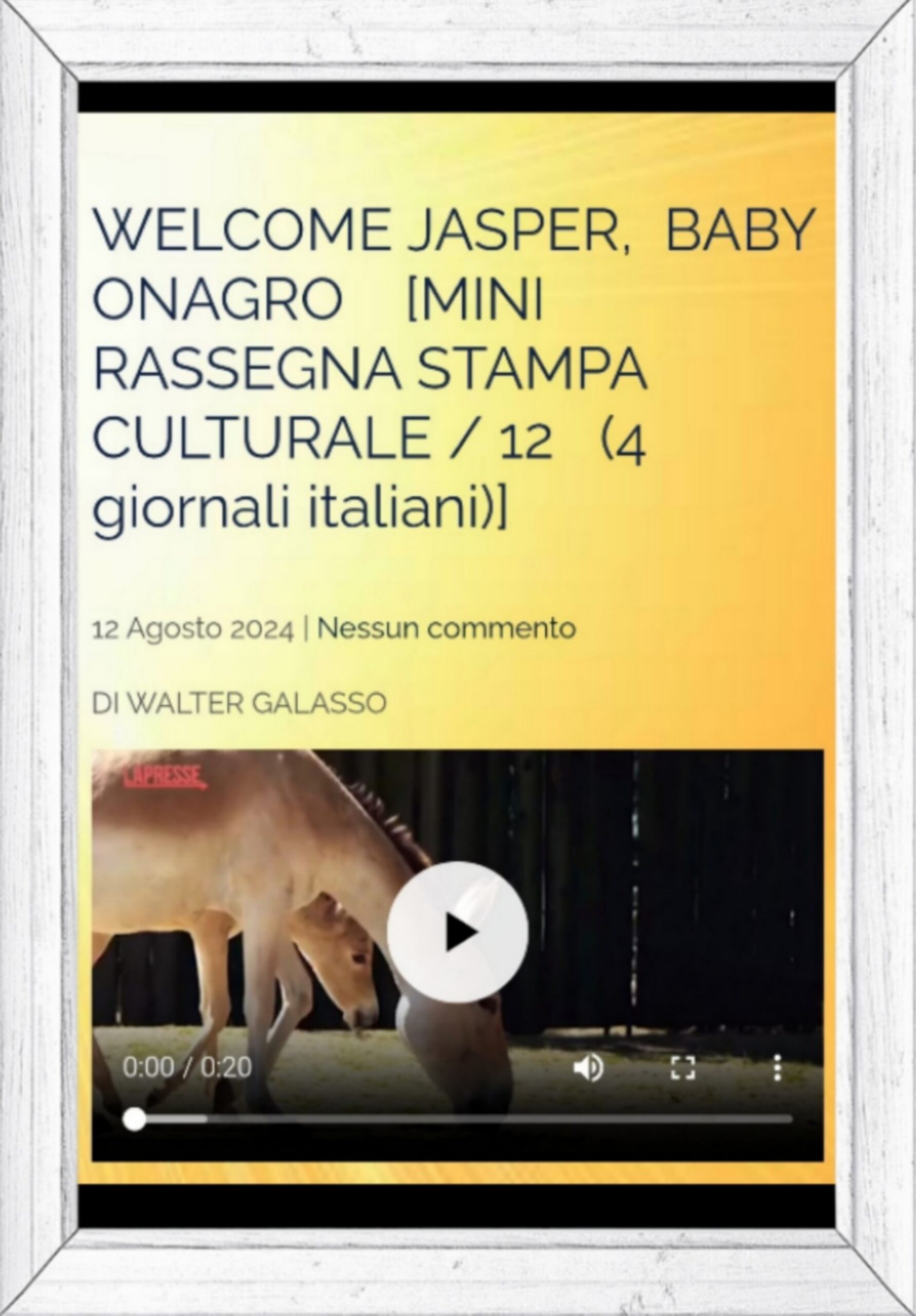 “…THIS ARTICLE POSTED AT THIS SITE IS ACTUALLY NICE…”   [SELEZIONE DI COMMENTI DALL’ ESTERO / 284;  COMMENTO SULL’ ARTICOLO  “WELCOME JASPER, BABY ONAGRO”]