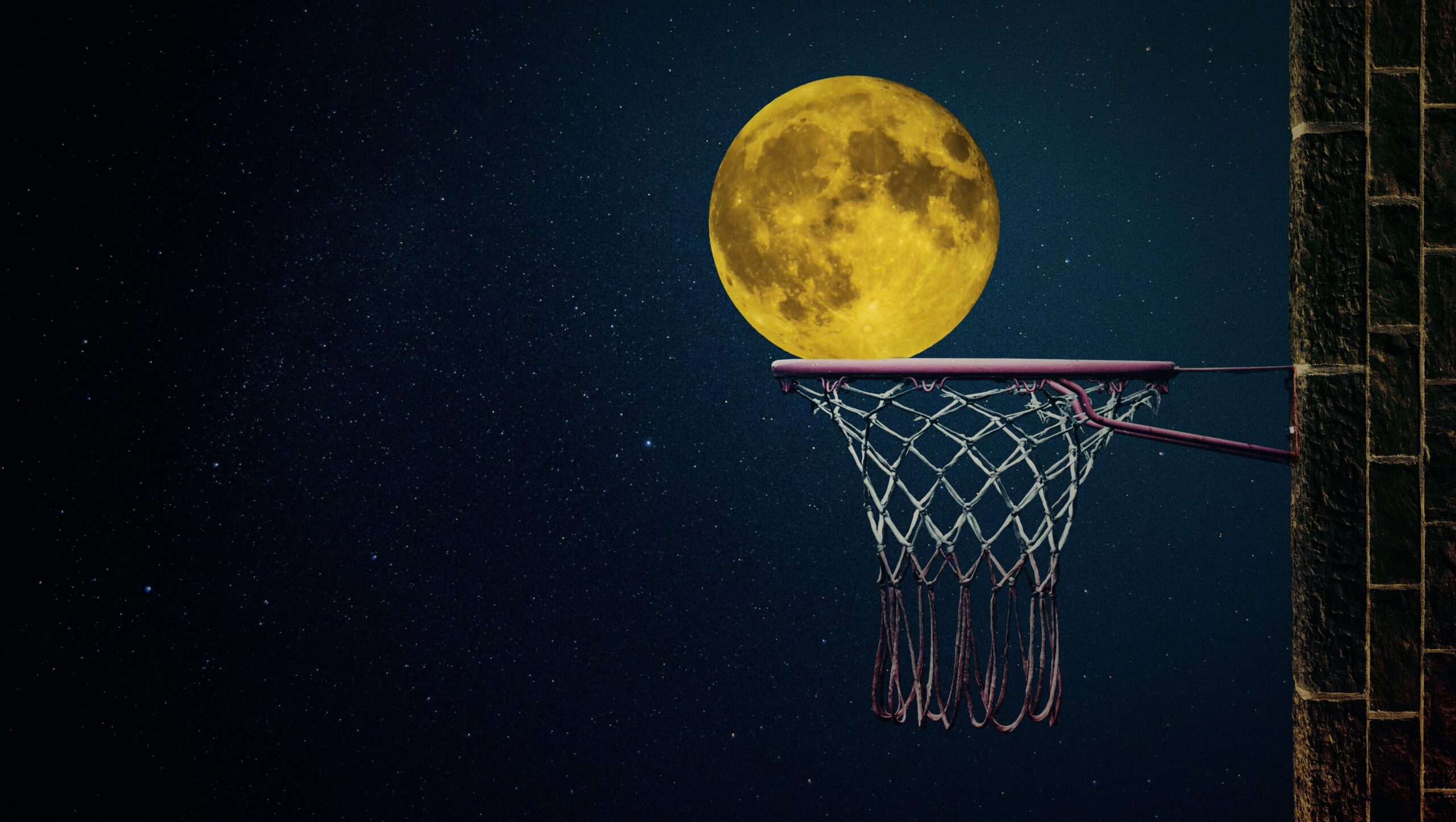 UN SELENICO PALLONE IN UN BASKETBALL RING&nbsp;&nbsp; [APROSDOKETON AL QUARTACCIO / 5]