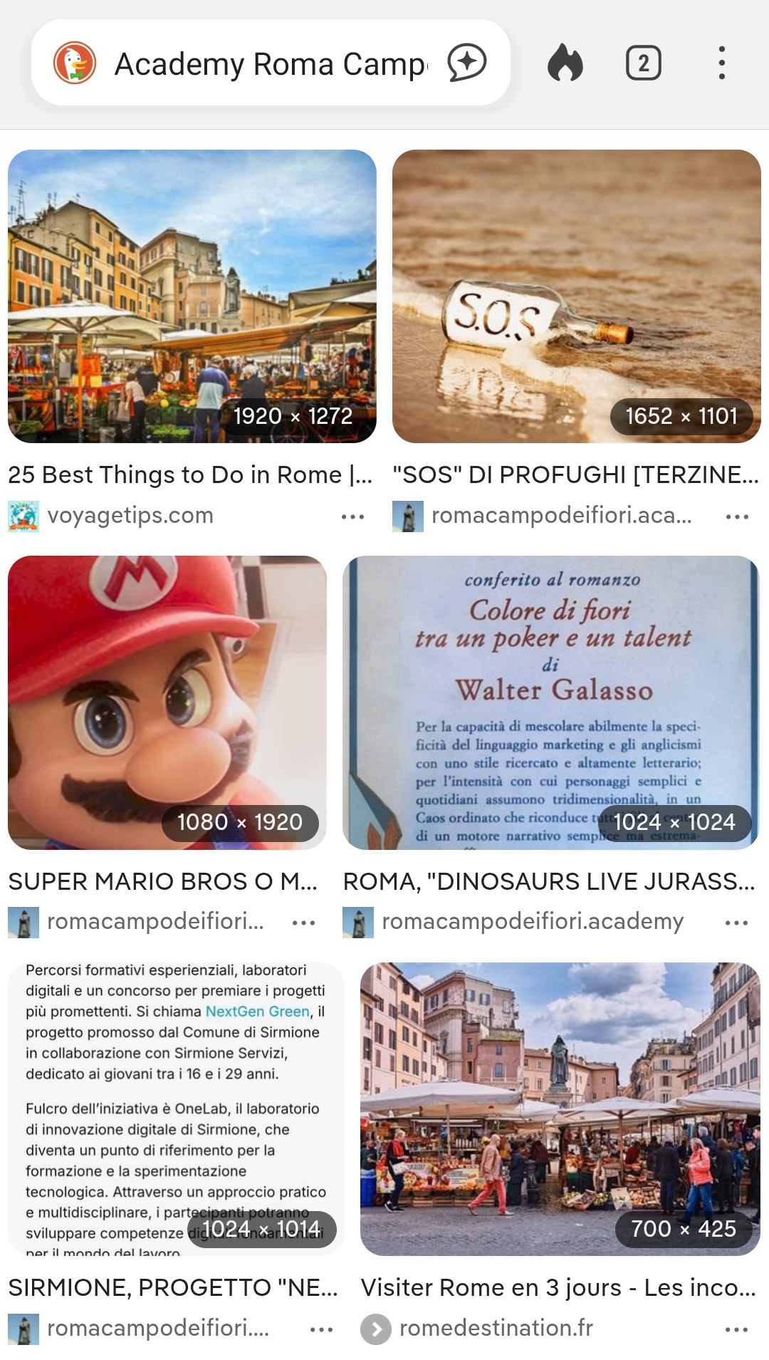DUCKDUCKGO, MOTORE DI RICERCA&nbsp; (USA), E  romacampodeifiori.academy / 2  (IMMAGINI)&nbsp;&nbsp; [SOLO UN ESEMPIO]