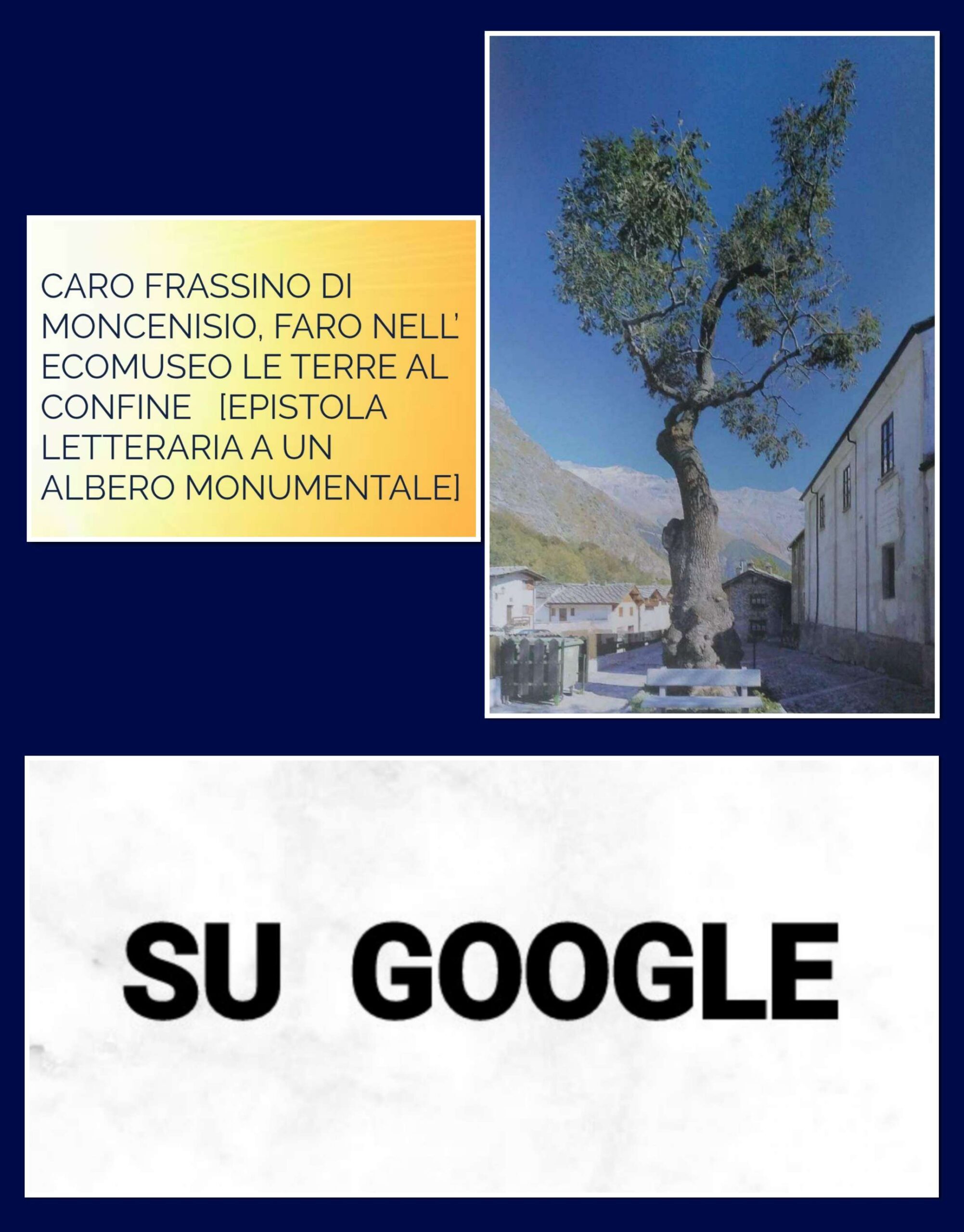 “CARO FRASSINO DI MONCENISIO, FARO NELL’ ECOMUSEO LE TERRE AL CONFINE”&nbsp; SU GOOGLE  