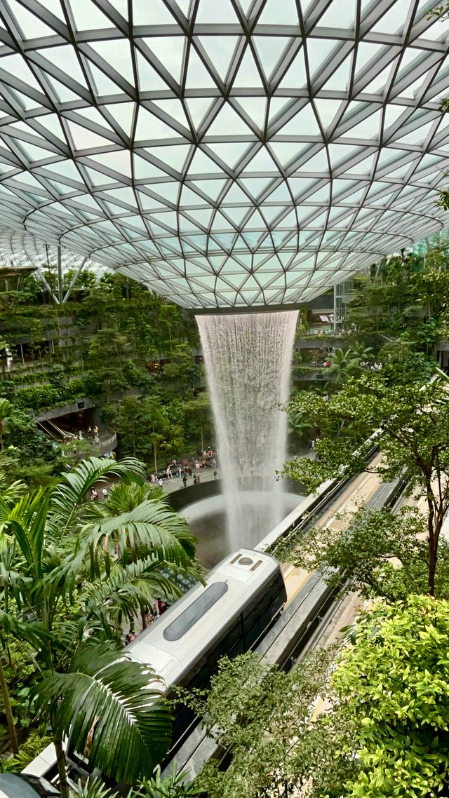 OCEANX SUMMIT 2026 SULLA NAVE OCEANXPLORER. L’ ECCELLENZA SCIENTIFICA DI SINGAPORE&nbsp; BENEFICA IL VALORE “GLOBAL OCEAN PROTECTION”   [THE STRAITS TIMES, LINK]